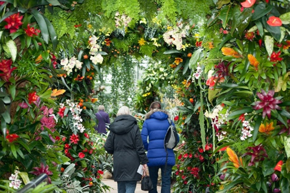 Kew Gardens Orchid Festival, book tickets & return travel with Shaws of