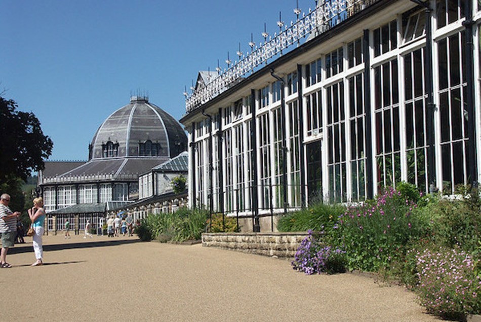 Buxton