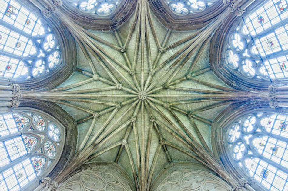 Southwell Minster & The Swan Sanctuary
