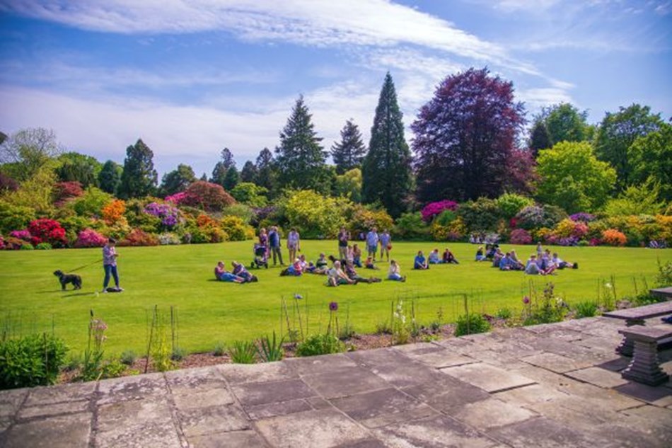 Holt & Stody Lodge Gardens