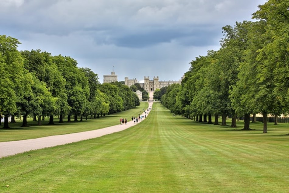 Royal Windsor