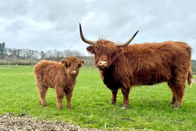 Cannon Hall Farm • route 4