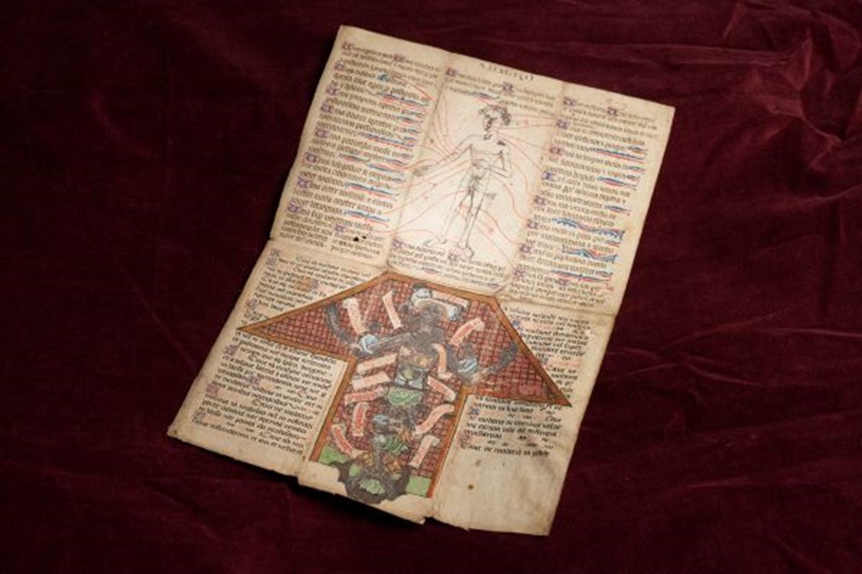 Cambridge & 'Curious Cures' Exhibition