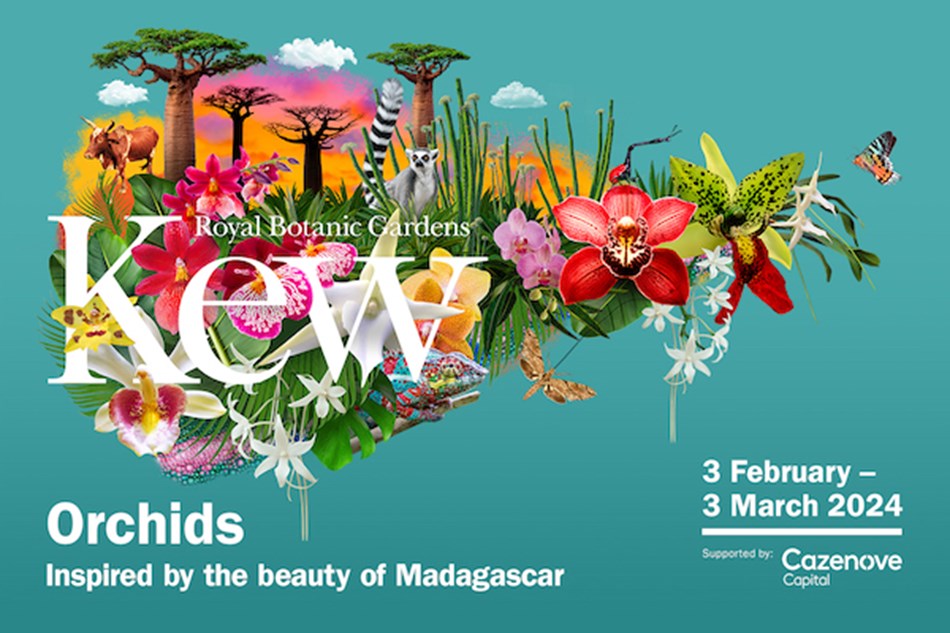 Kew Gardens Orchid Festival