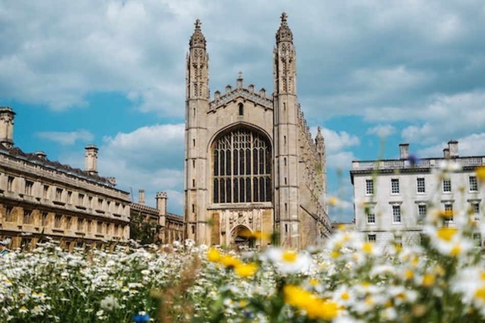 Summer in the city - Cambridge