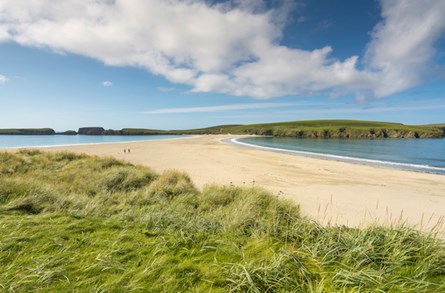 shetland bus and coach tours