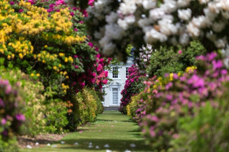 Holt & Stody Lodge Gardens