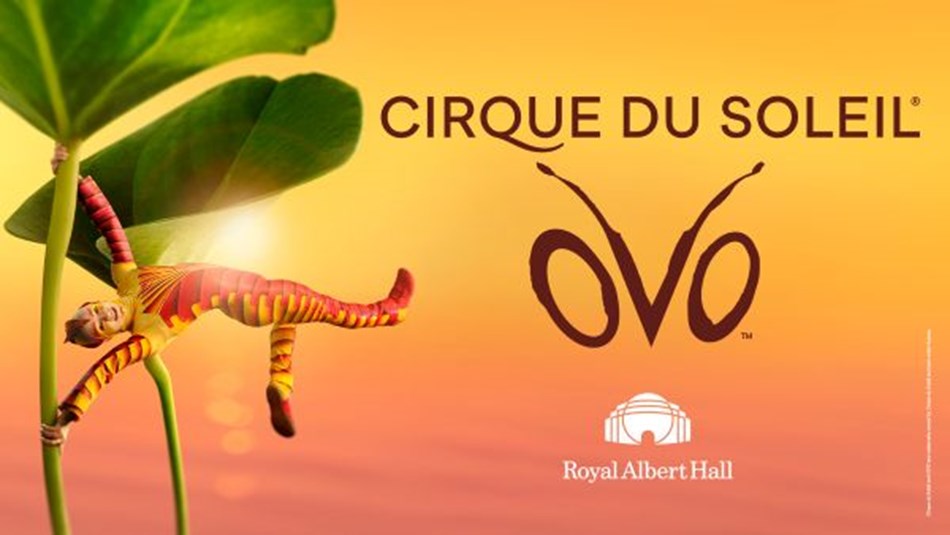 Cirque du Soleil 'OVO', Royal Albert Hall