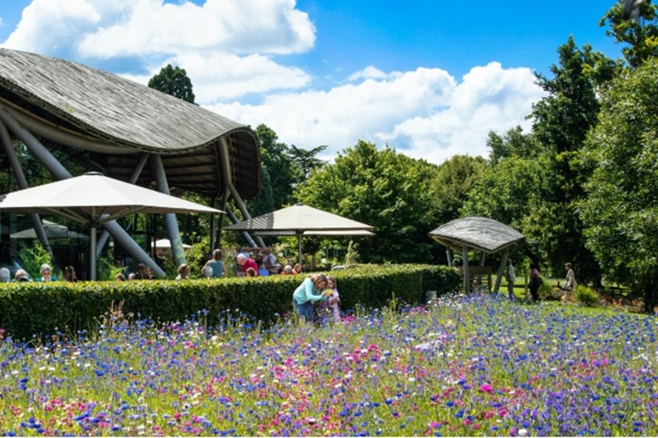 The Savill Garden & Windsor River Cruise
