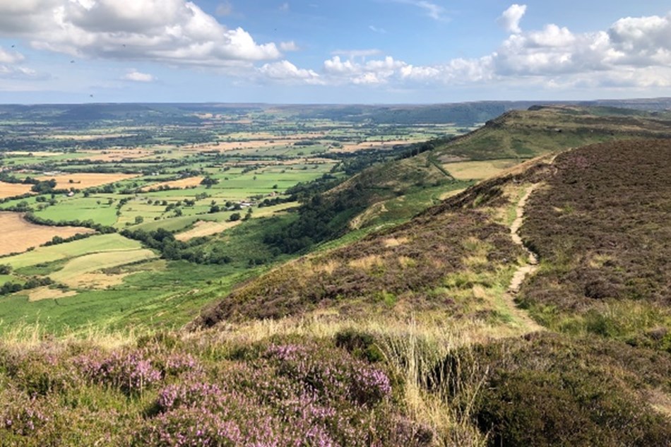 North Yorkshire Moors & Heartbeat Country