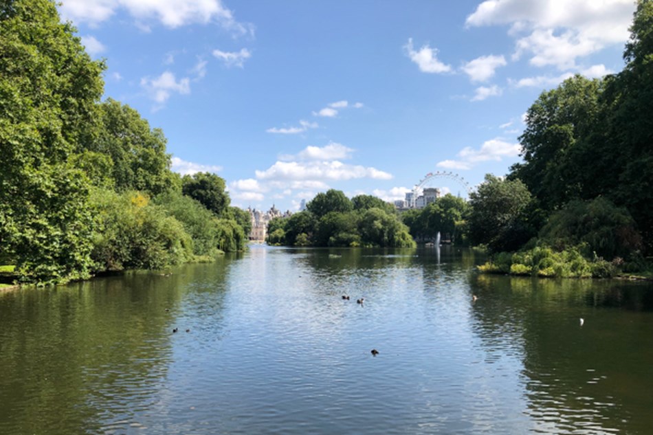 St James's Park & Westminster, London