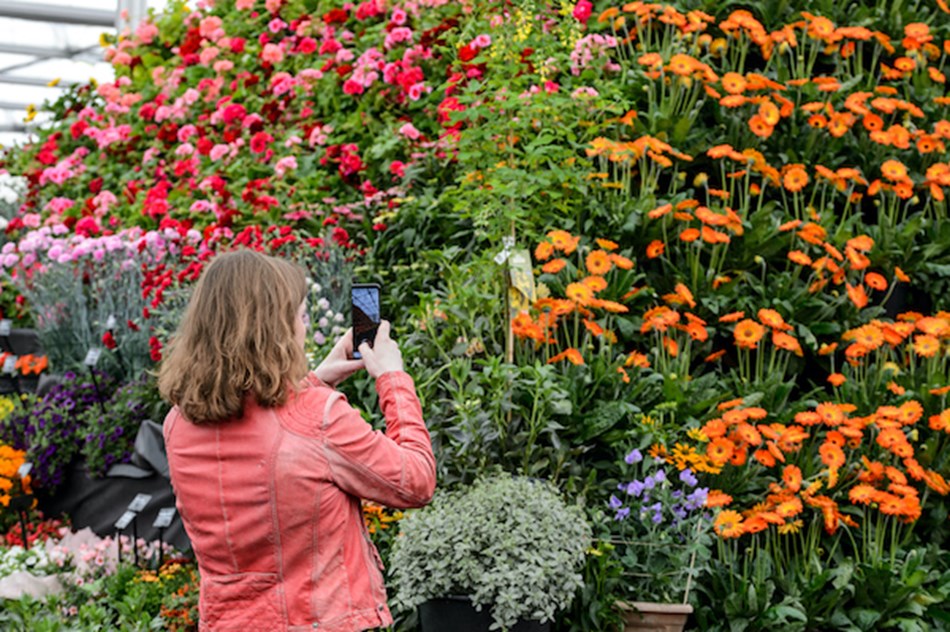 BBC Gardeners' World Live 2024, NEC