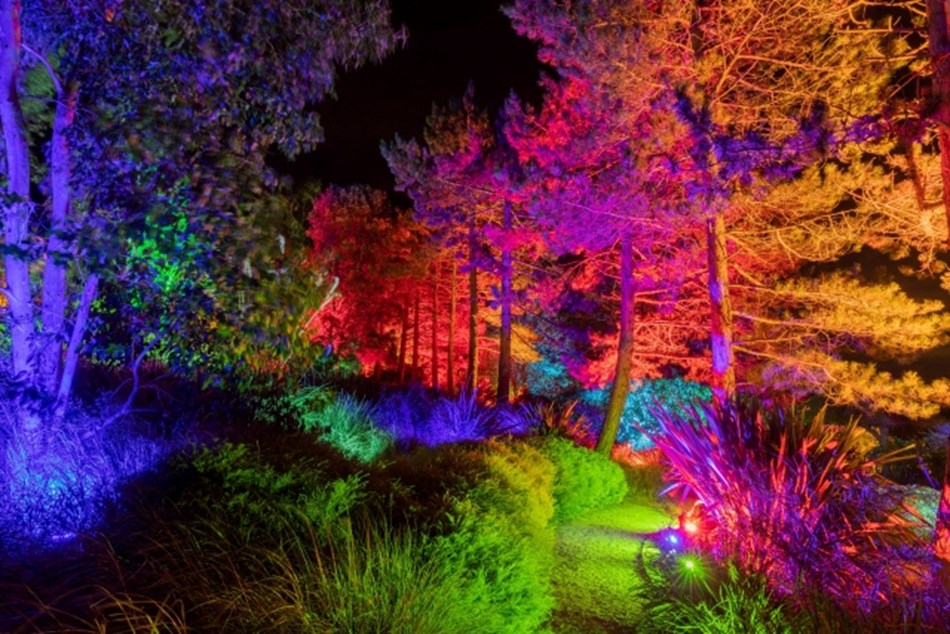 RHS Glow at Hyde Hall